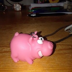 Meet your Posher, Karen